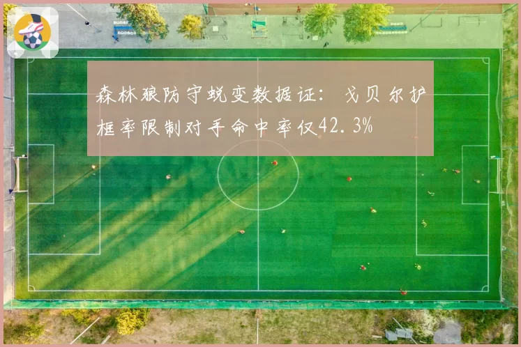 森林狼防守蜕变数据证:戈贝尔护框率限制对手命中率仅42.3%